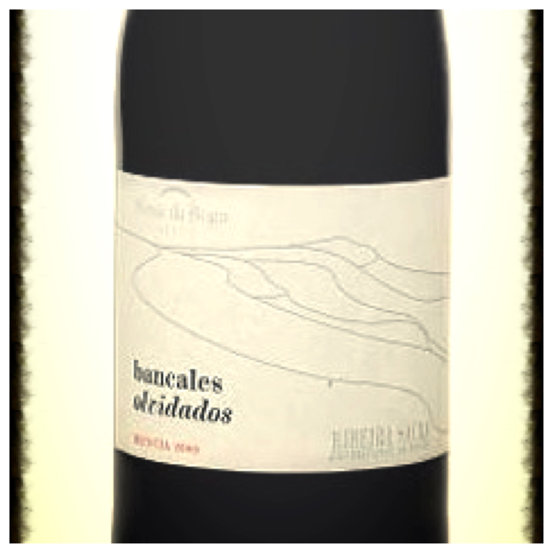 Vino_Ponte_da_Boga_Bancales_Olvidados_2009